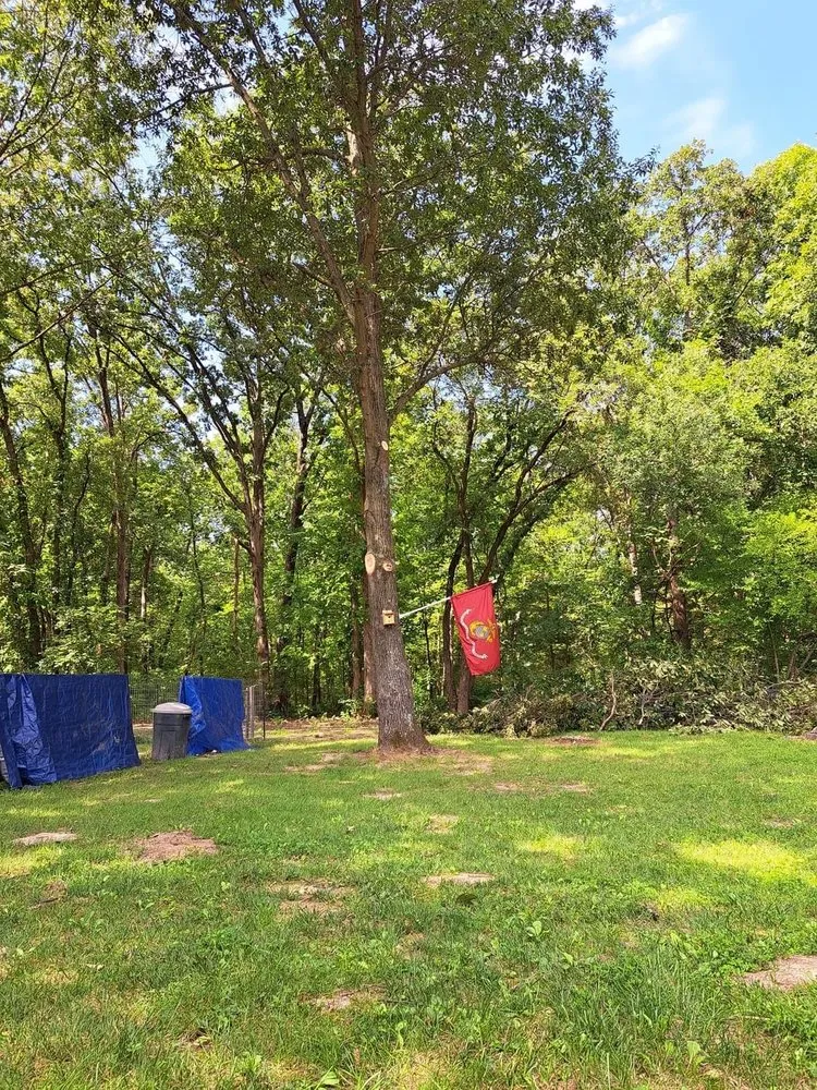 Professional landscaping services for homes across Troy, MO - Elite Tree And Land Management