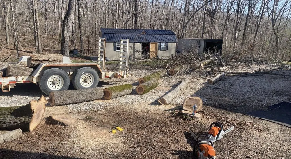 Affordable lawn mowing service in Troy, MO - Elite Tree And Land Management