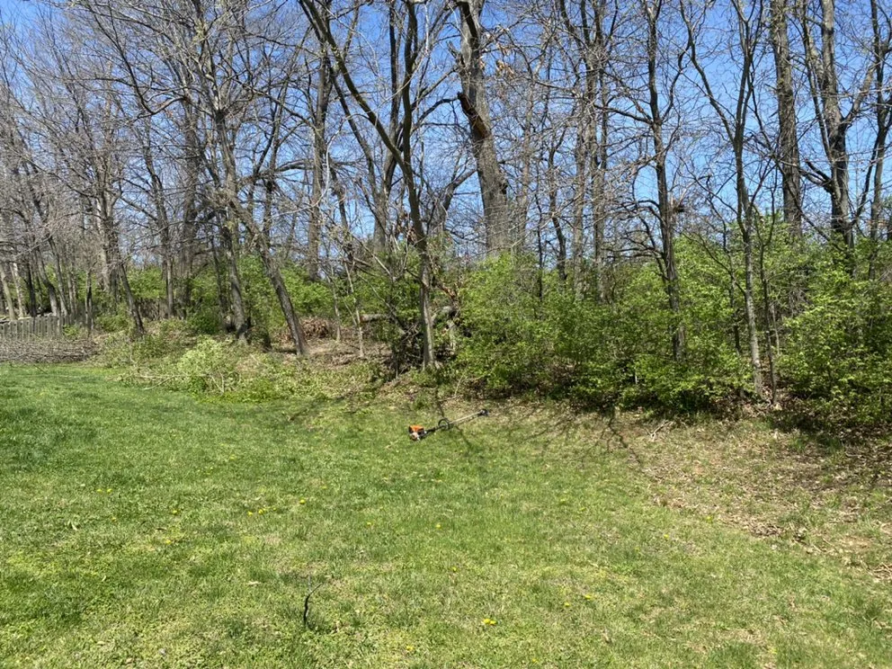 Local yard maintenance experts serving Troy, MO - Elite Tree And Land Management