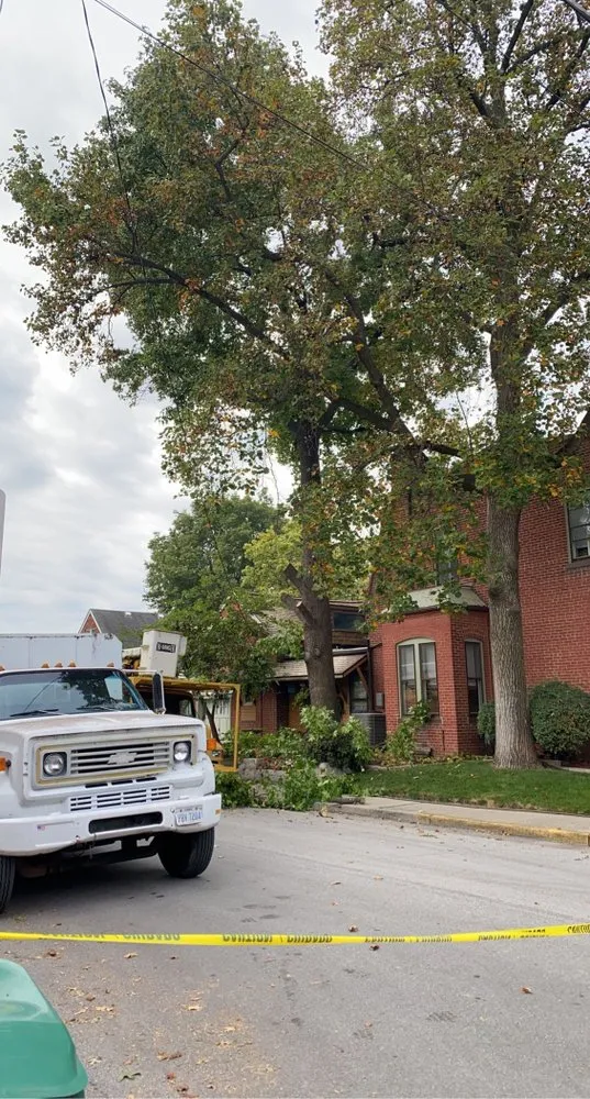 Trusted outdoor landscaping in Troy, MO by Elite Tree And Land Management