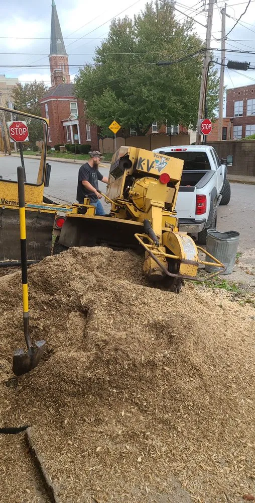 Top-rated yard maintenance experts serving Troy, MO - Elite Tree And Land Management