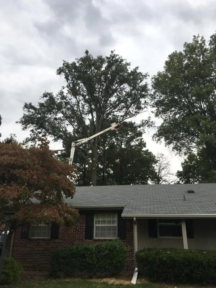 Professional landscape installation experts serving Troy, MO - Elite Tree And Land Management