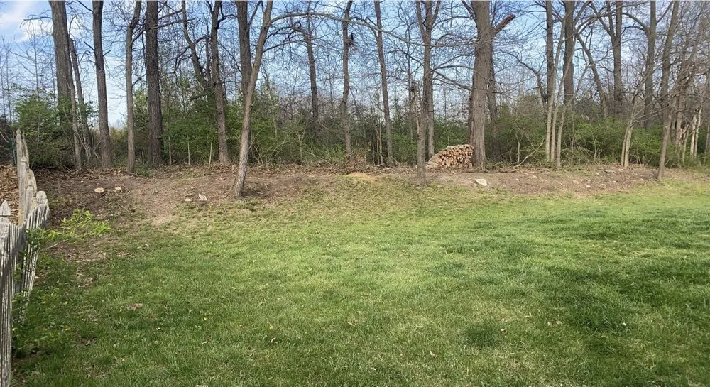 Reliable yard cleanup service in Troy, MO - Elite Tree And Land Management
