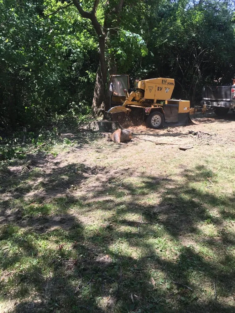 Professional landscape design experts serving Troy, MO - Elite Tree And Land Management