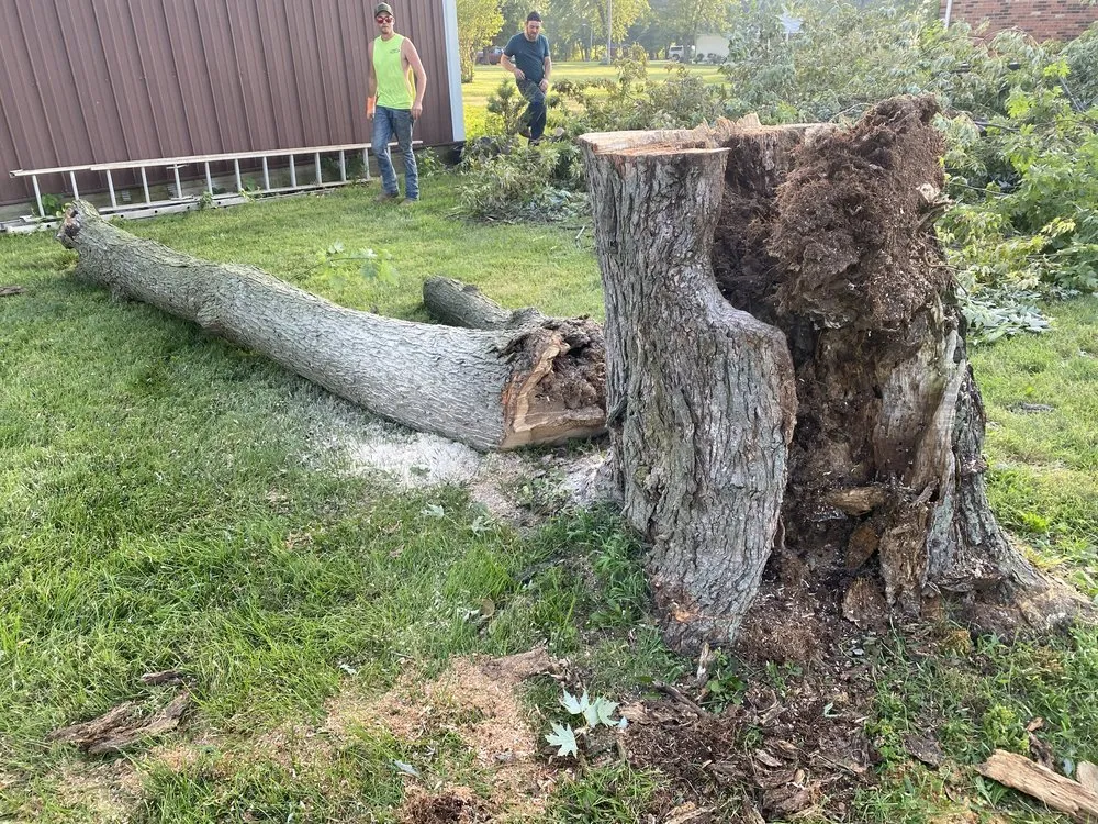 Expert yard maintenance in Troy, MO - Elite Tree And Land Management