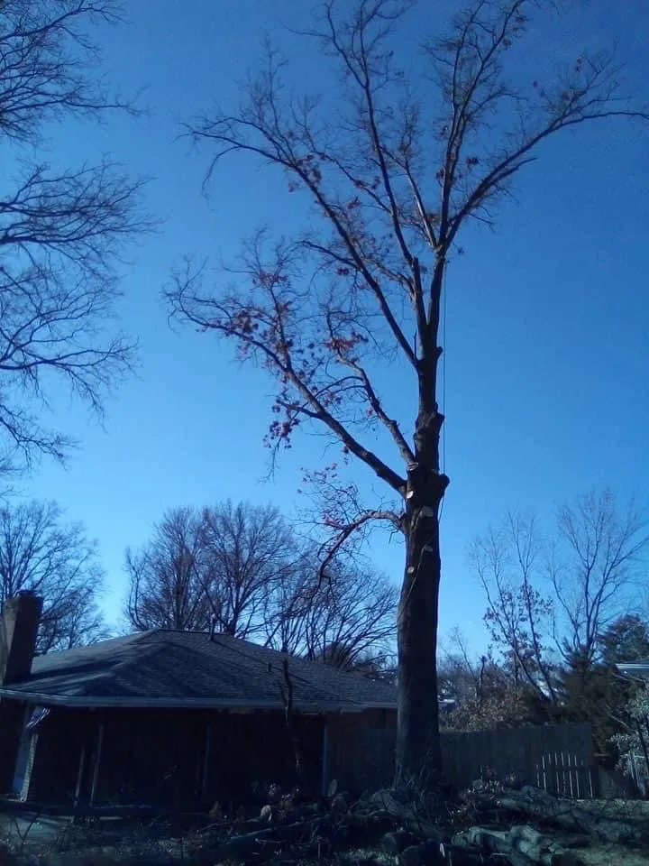 Reliable landscape installation for homes in Troy, MO by Elite Tree And Land Management