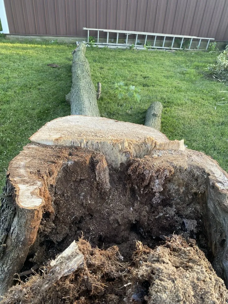 Reliable lawn mowing service near you across Troy, MO - Elite Tree And Land Management