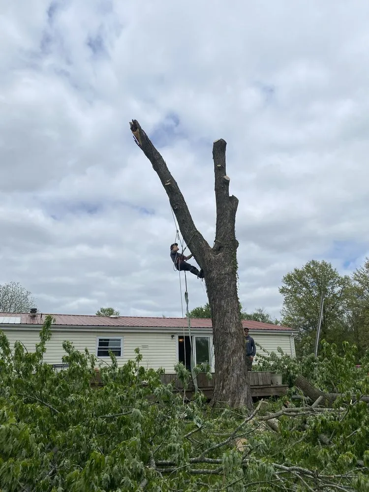 Reliable landscape design in Troy, MO - Elite Tree And Land Management