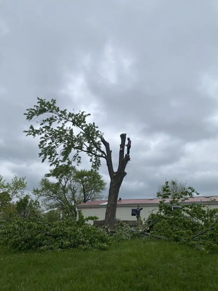 Custom lawn mowing service near you in Troy, MO by Elite Tree And Land Management