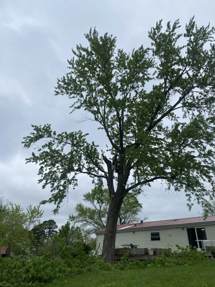 Local yard maintenance experts serving Troy, MO - Elite Tree And Land Management