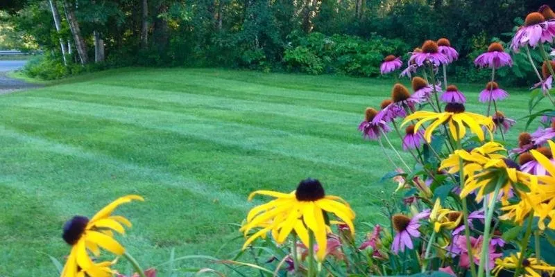 Affordable lawn care service in Powder Springs, GA by Elite Tree Lawnlandscapeing