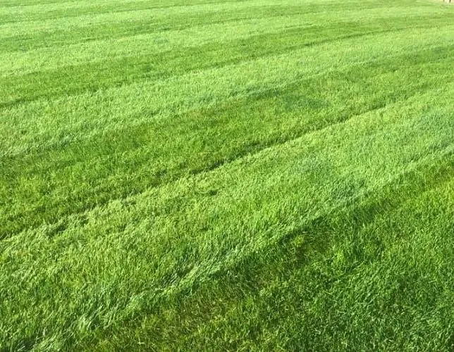 Affordable garden landscaping in Powder Springs, GA by Elite Tree Lawnlandscapeing