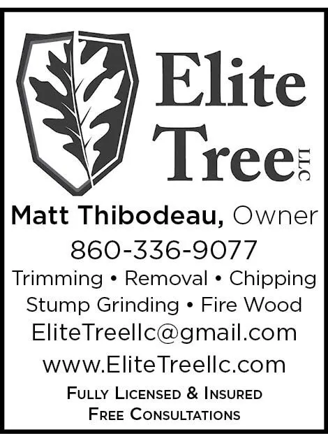 Professional lawn mowing service in Ellington, CT - Elite Tree llc