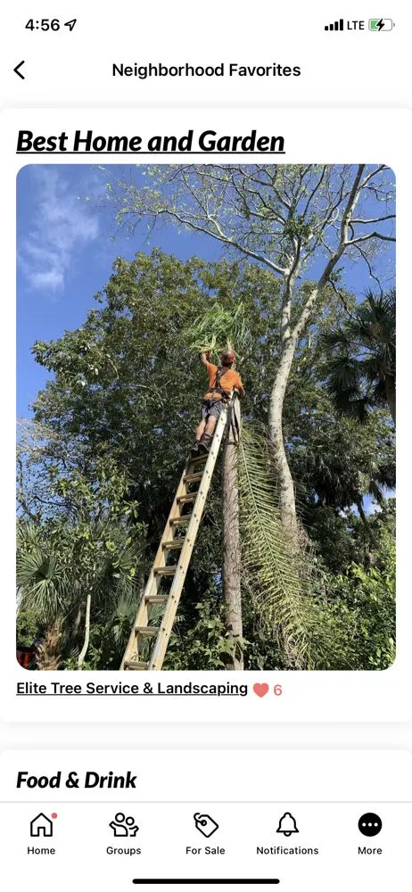 Top-rated landscape installation experts serving Titusville, FL - Elite Tree Service & Landscaping