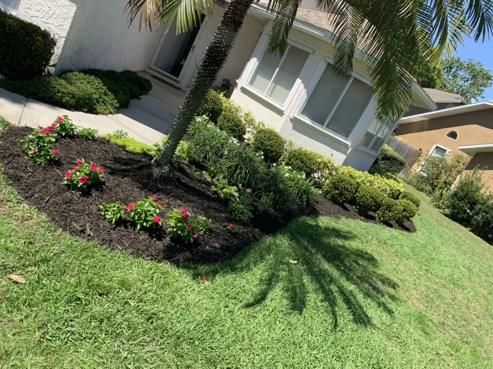Professional lawn mowing service experts serving Titusville, FL - Elite Tree Service & Landscaping