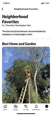 Elite Tree Service & Landscaping