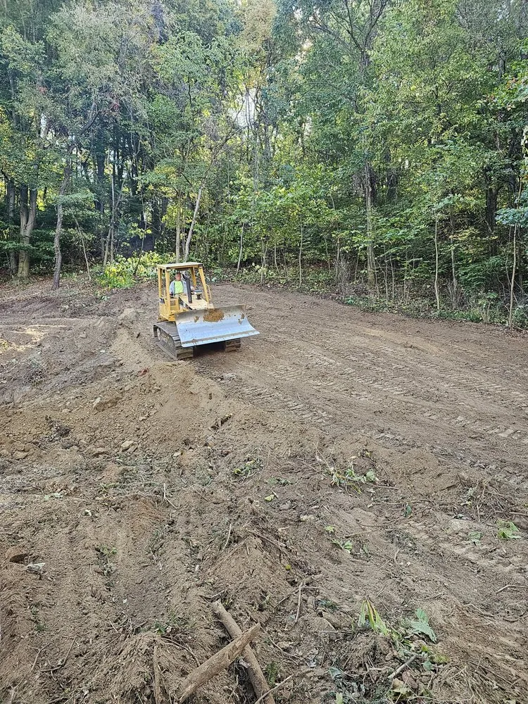 Top-rated yard cleanup service for beautiful yards in Plainfield, IN by Elite Tree Service and Property Management Group