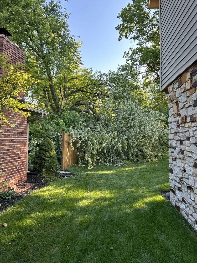 Top-rated landscape installation near you across Plainfield, IN - Elite Tree Service and Property Management Group