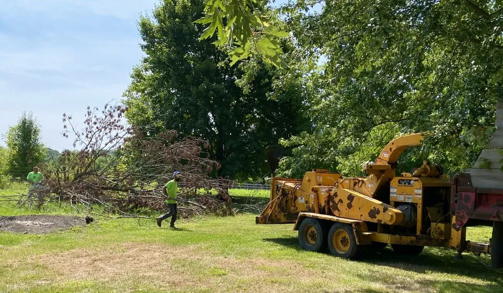 Trusted yard cleanup service with custom design across Plainfield, IN - Elite Tree Service and Property Management Group