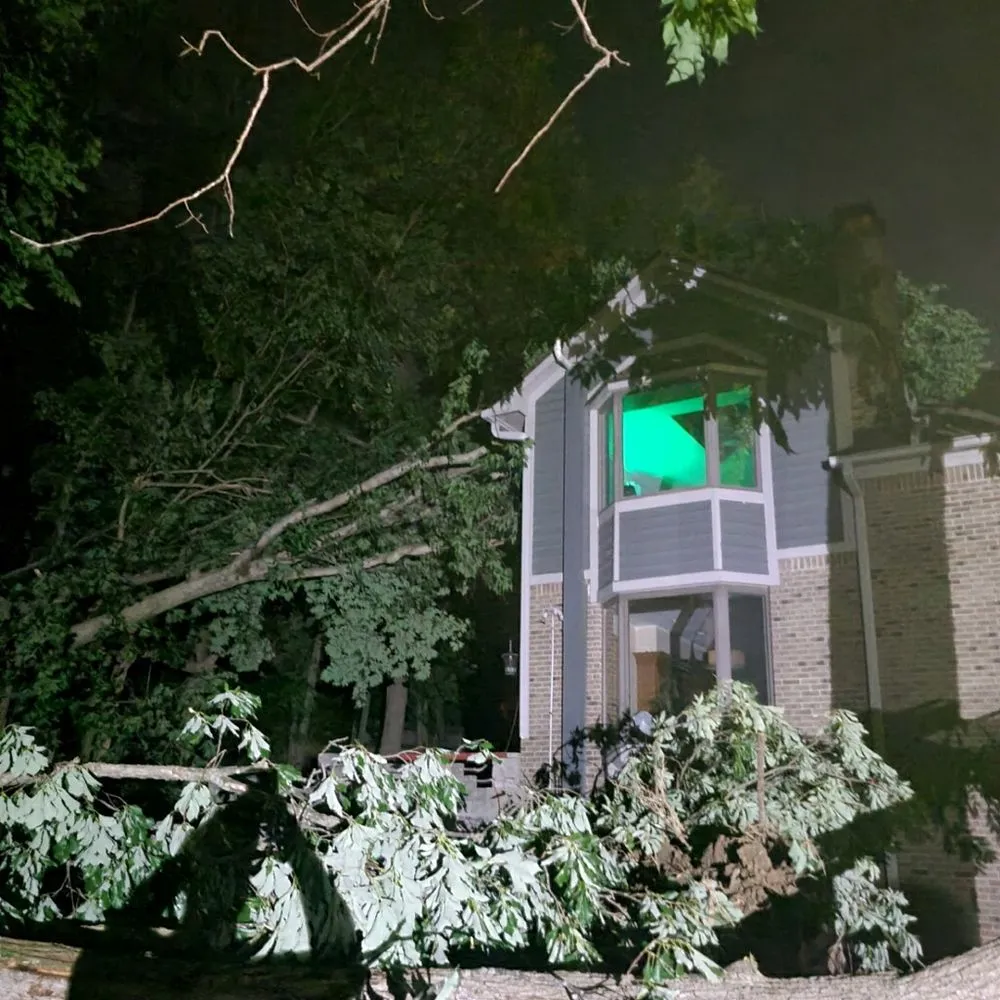 Reliable landscape design experts serving Plainfield, IN - Elite Tree Service and Property Management Group