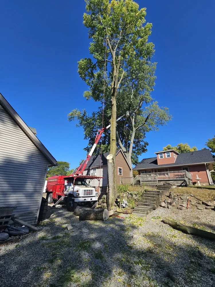 Professional lawn mowing service for homes in Plainfield, IN by Elite Tree Service and Property Management Group