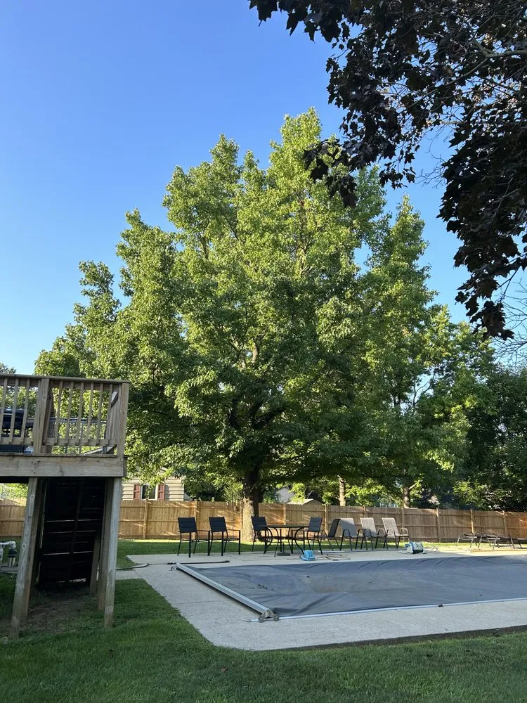 Affordable garden landscaping for year-round maintenance in Plainfield, IN by Elite Tree Service and Property Management Group