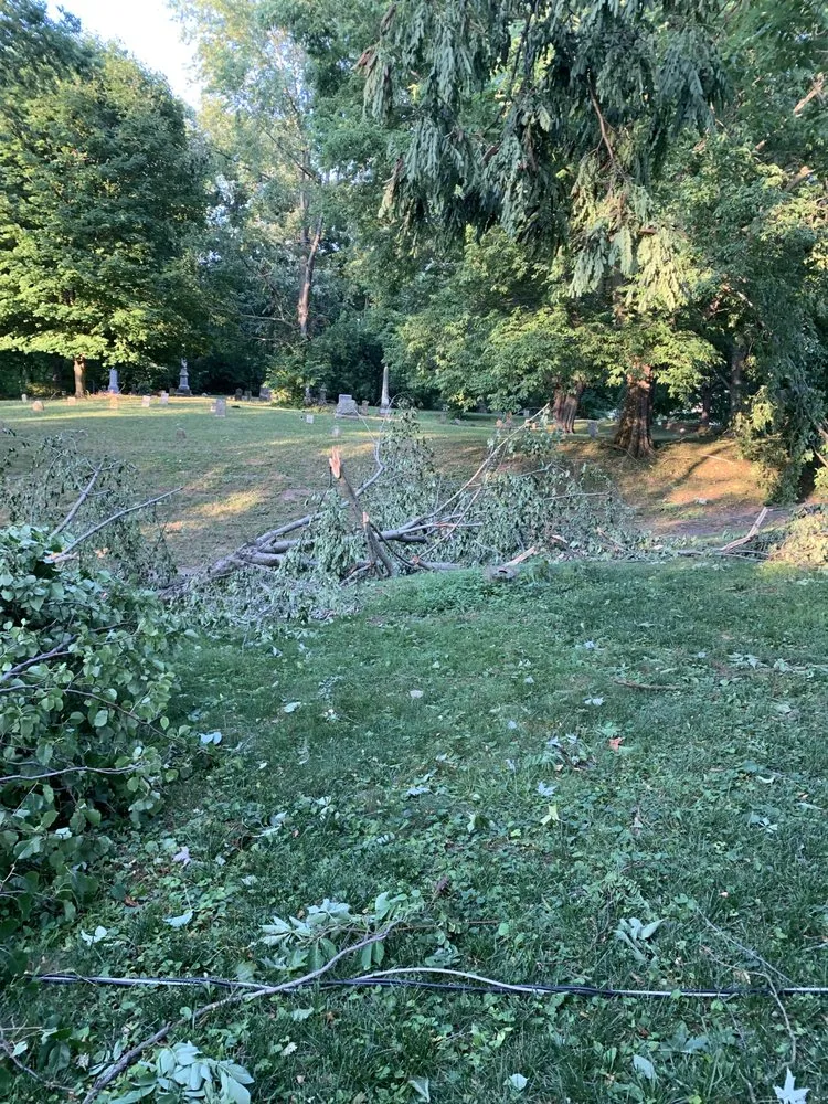 Expert lawn mowing service in Plainfield, IN - Elite Tree Service and Property Management Group