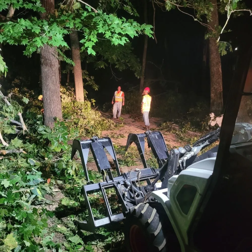 Reliable landscape installation in Plainfield, IN by Elite Tree Service and Property Management Group