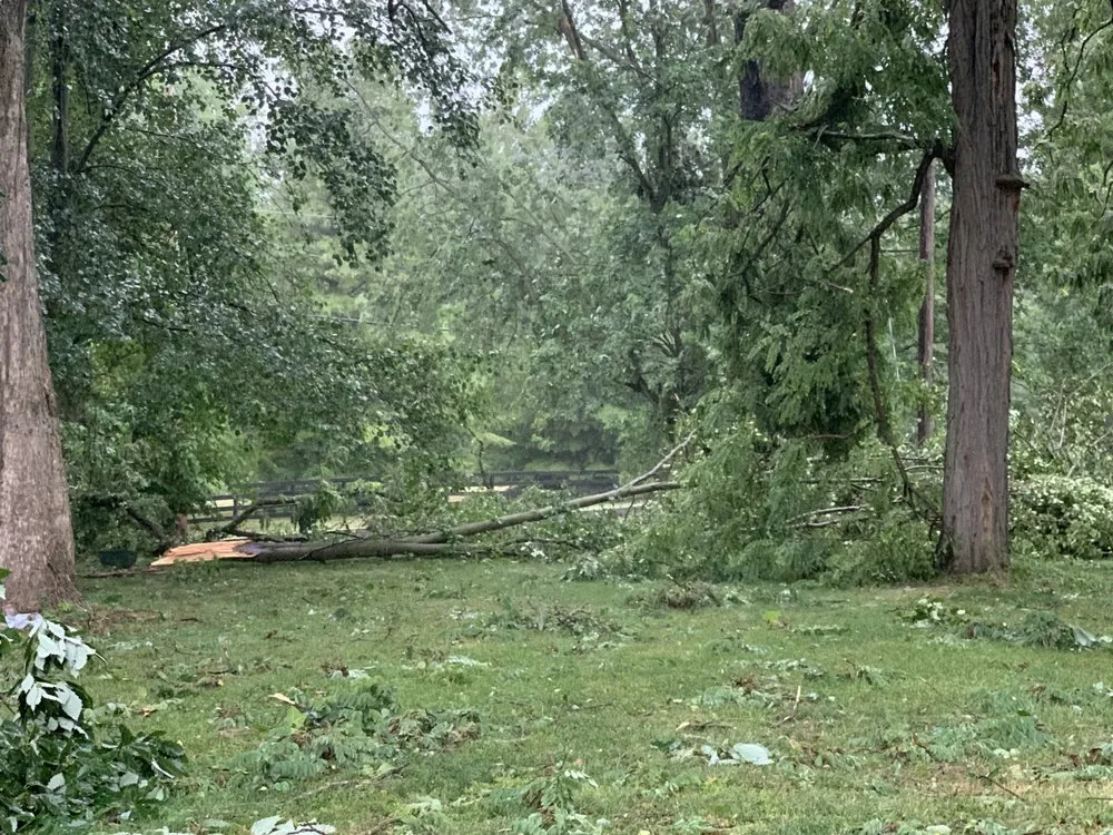 Professional lawn care service in Plainfield, IN - Elite Tree Service and Property Management Group