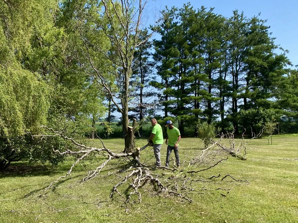 Expert landscaping services experts serving Plainfield, IN - Elite Tree Service and Property Management Group