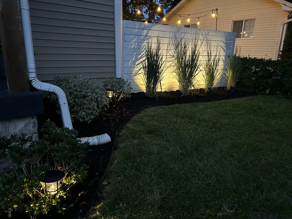 Affordable yard cleanup service experts serving Plainfield, IN - Elite Tree Service and Property Management Group