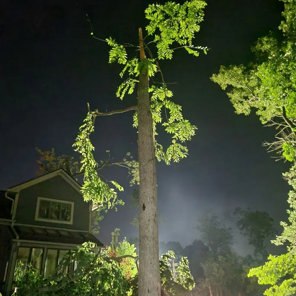 Trusted lawn care service in Plainfield, IN by Elite Tree Service and Property Management Group