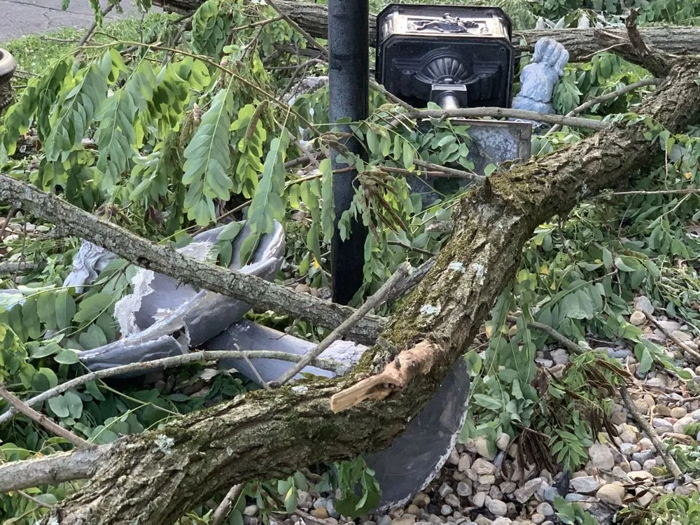 Reliable outdoor landscaping in Plainfield, IN - Elite Tree Service and Property Management Group