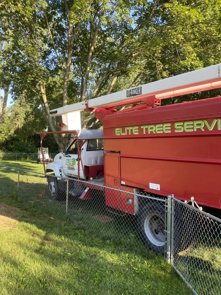 Local landscape installation experts serving Plainfield, IN - Elite Tree Service and Property Management Group