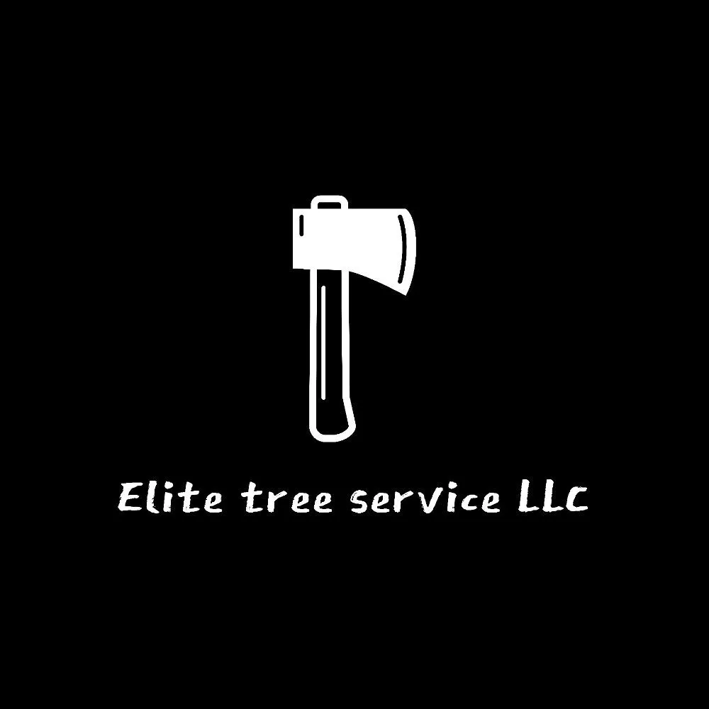 Expert outdoor landscaping in Golden, CO - Elite Tree Service