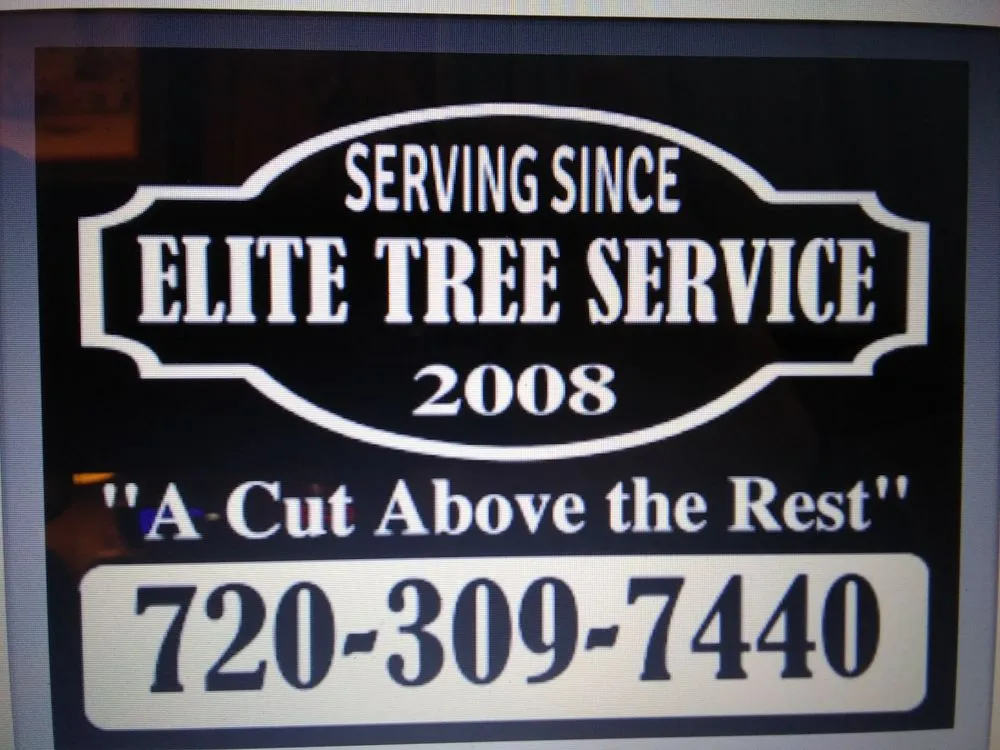 Reliable landscape installation in Golden, CO by Elite Tree Service