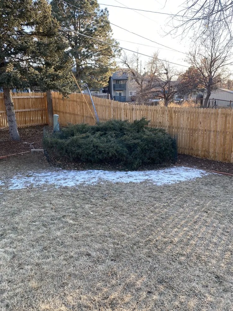 Professional garden landscaping for homes across Golden, CO - Elite Tree Service