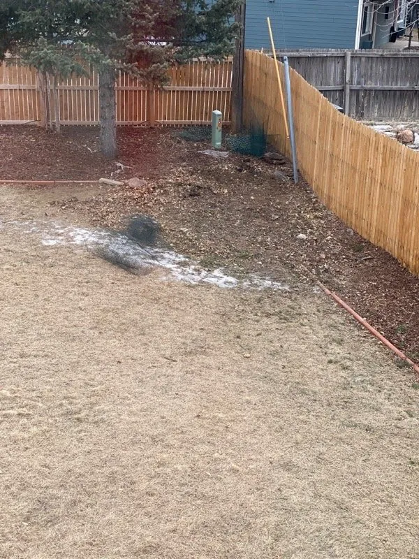 Expert landscape design in Golden, CO by Elite Tree Service