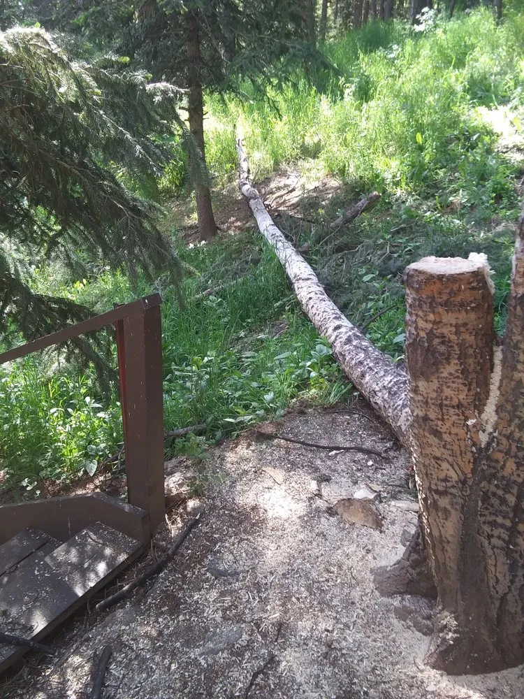 Reliable lawn mowing service in Golden, CO by Elite Tree Service