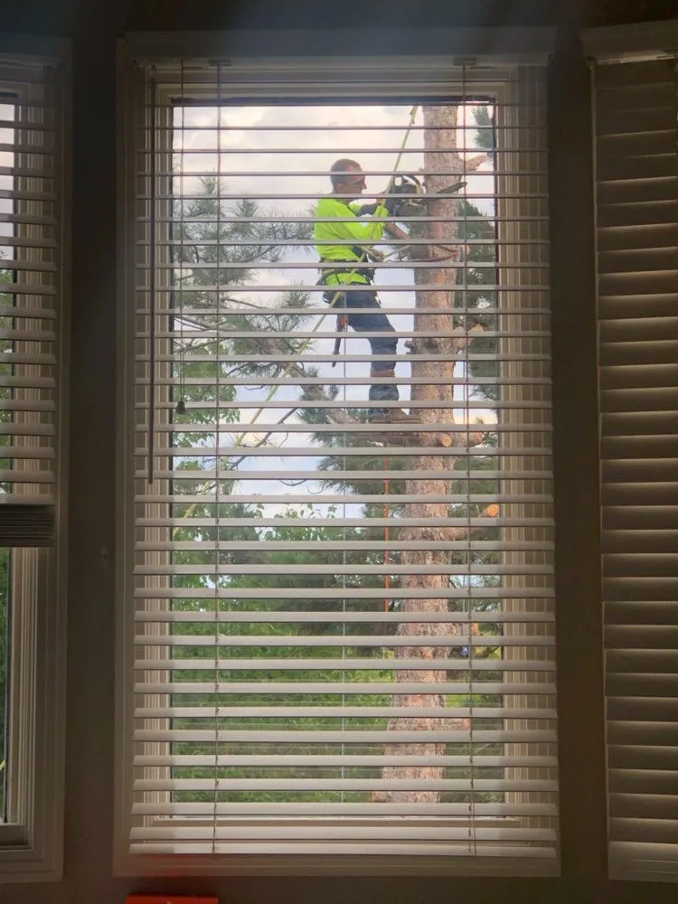 Trusted landscape design in Golden, CO - Elite Tree Service