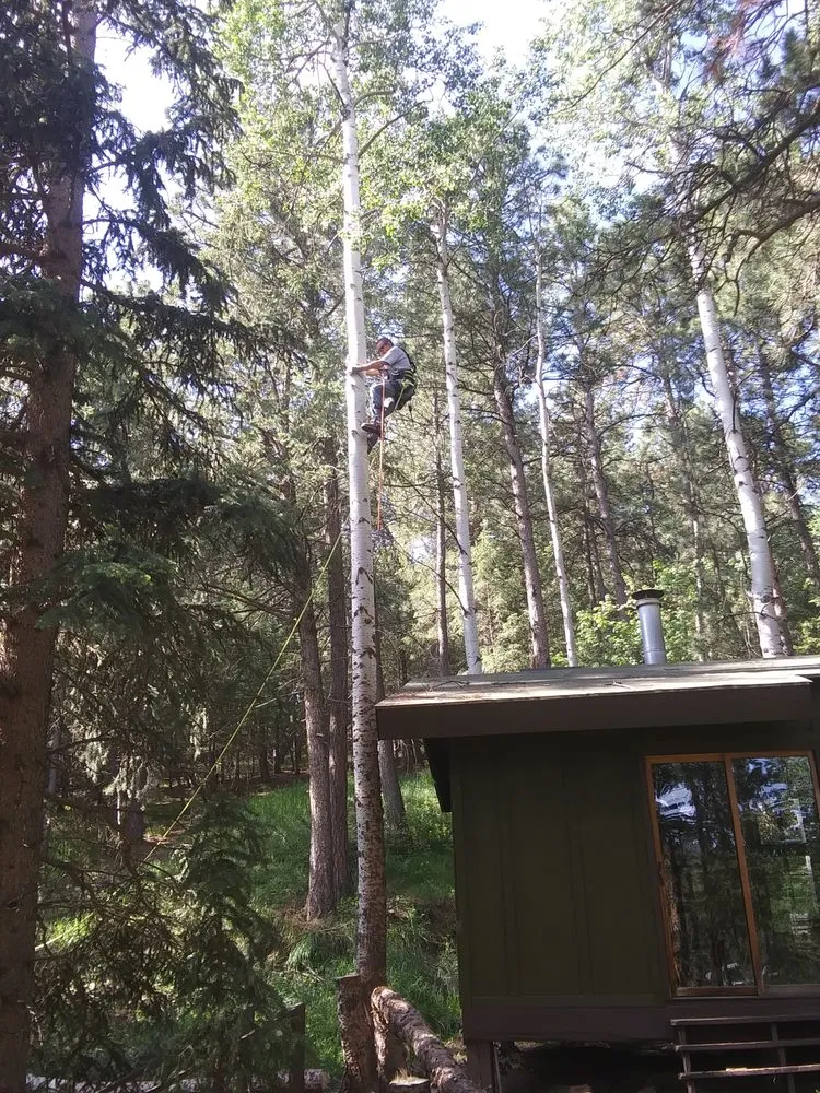 Local landscaping services for homes across Golden, CO - Elite Tree Service