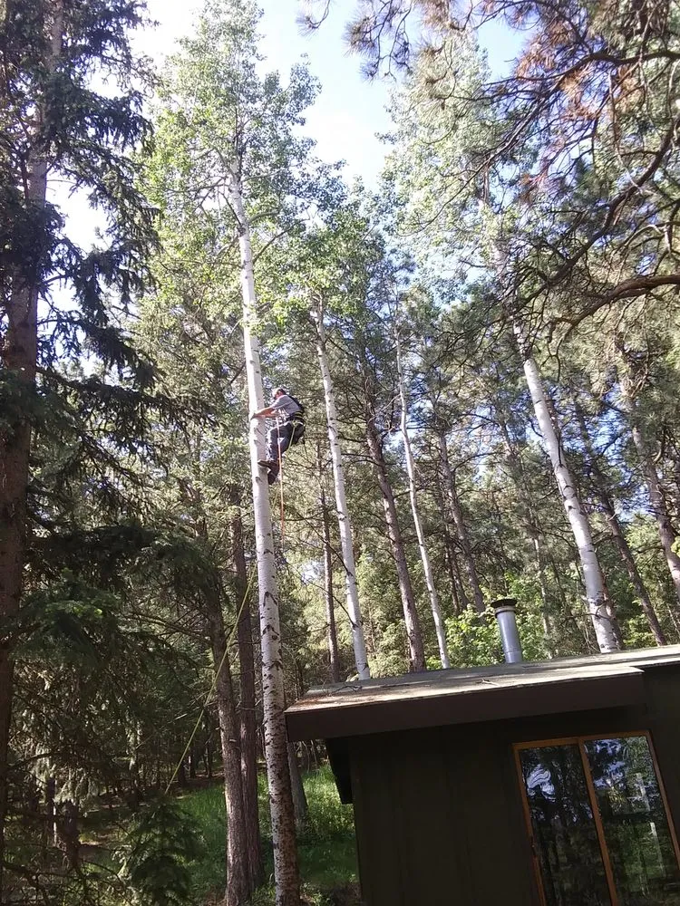 Affordable lawn care service for residential properties in Golden, CO by Elite Tree Service