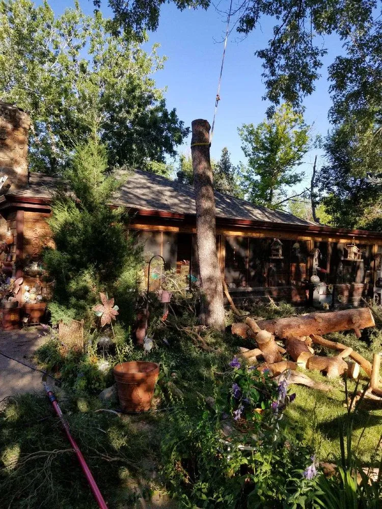 Local residential landscaping in Golden, CO by Elite Tree Service