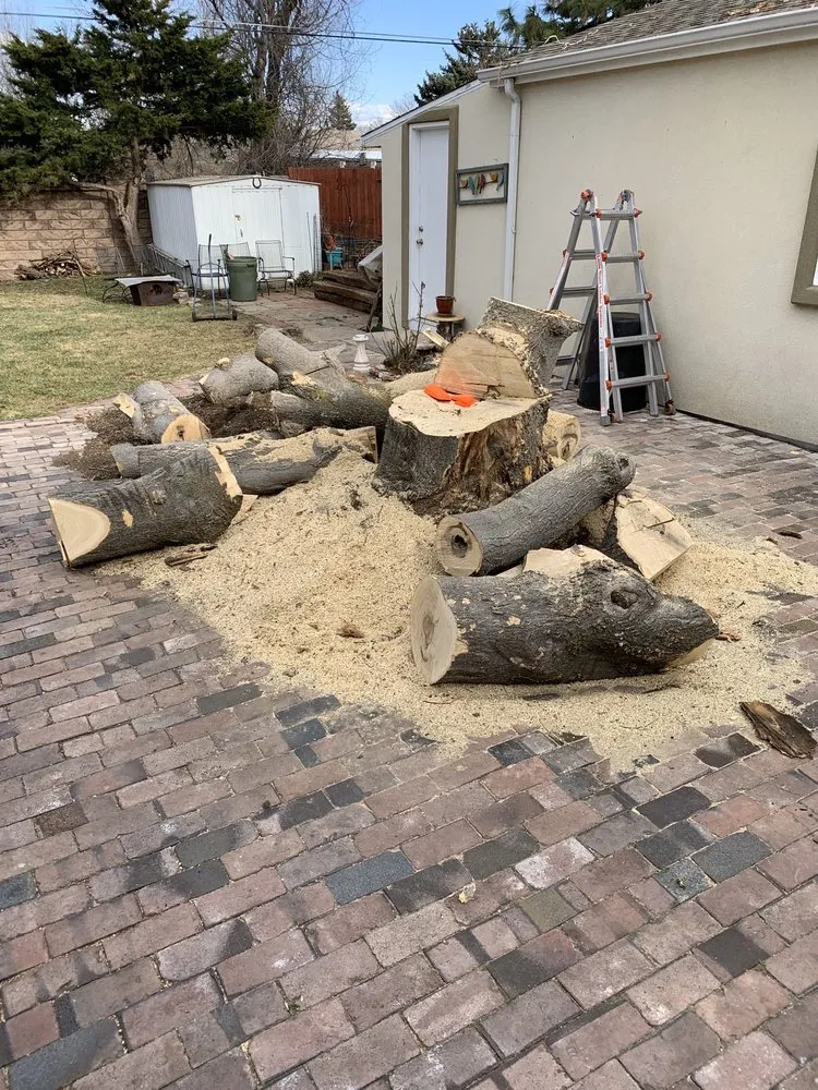 Custom yard cleanup service for outdoor upgrades across Golden, CO - Elite Tree Service