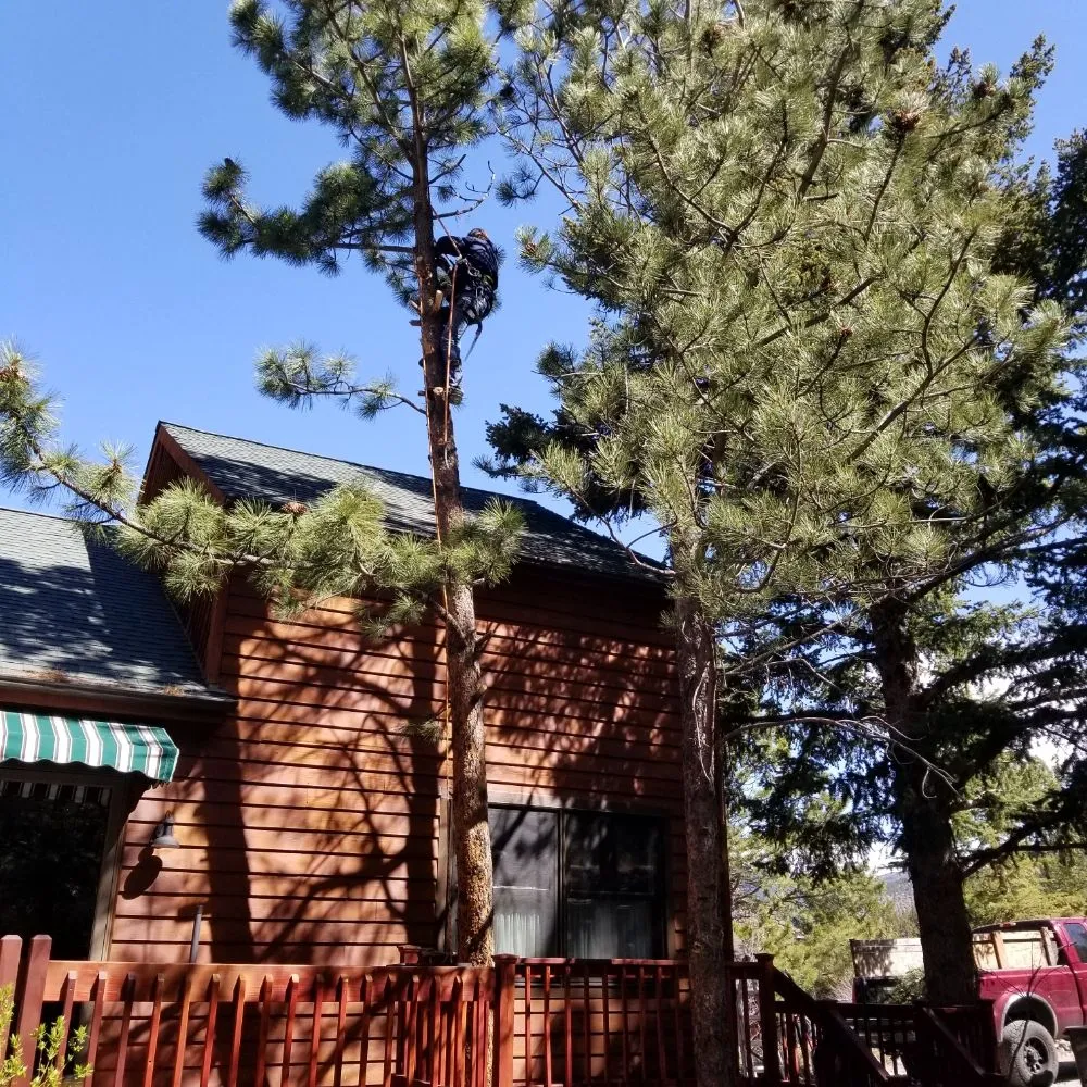 Affordable landscape design in Golden, CO - Elite Tree Service