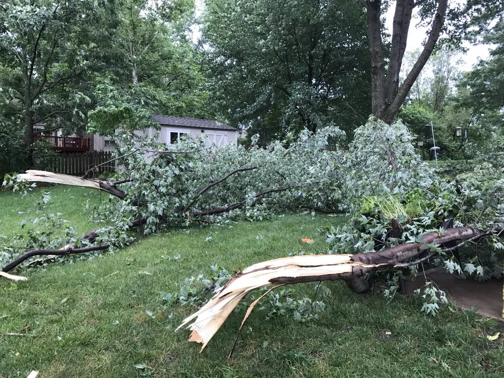 Affordable garden landscaping for year-round maintenance across Shawnee, KS - Elite Tree Service