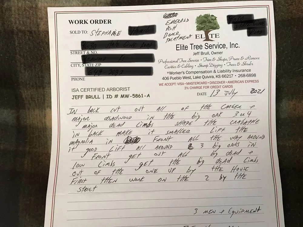 Top-rated yard maintenance in Shawnee, KS by Elite Tree Service