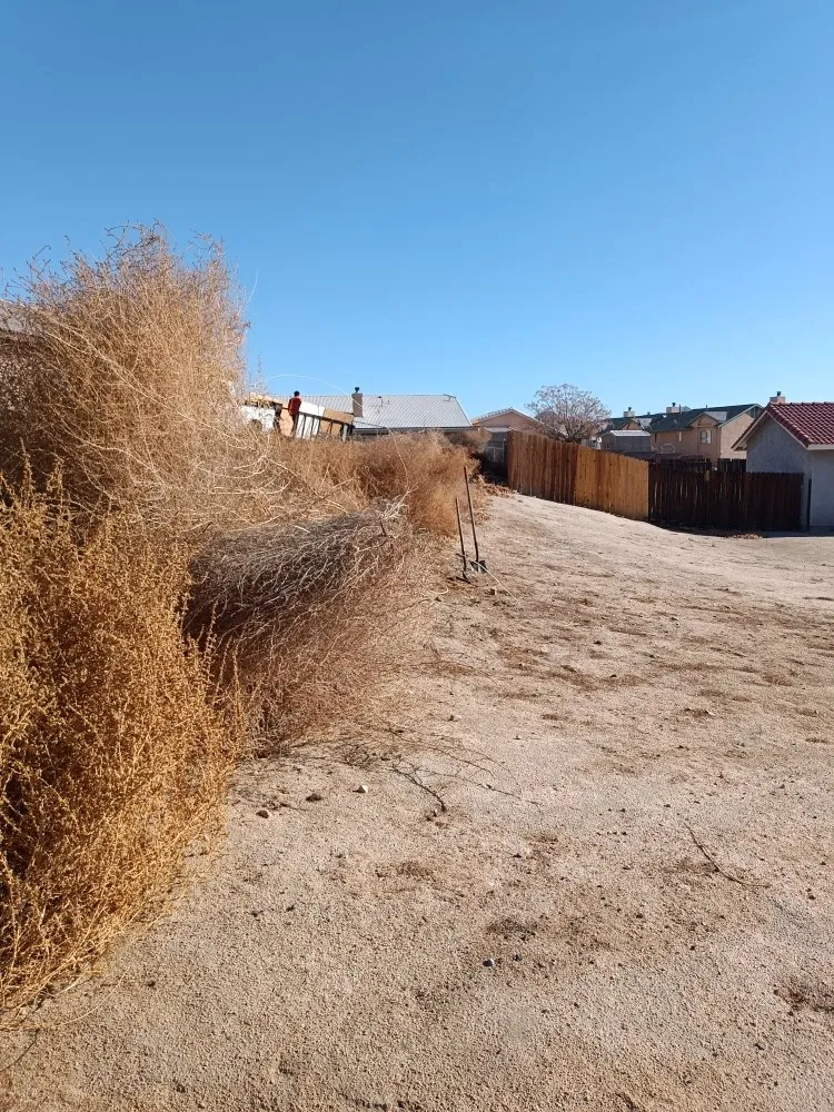 Reliable outdoor landscaping in Apple Valley, CA - Elite Tree Services And Landscaping