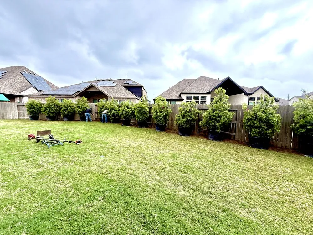 Reliable lawn mowing service experts serving Houston, TX - Elite Tree Specialist