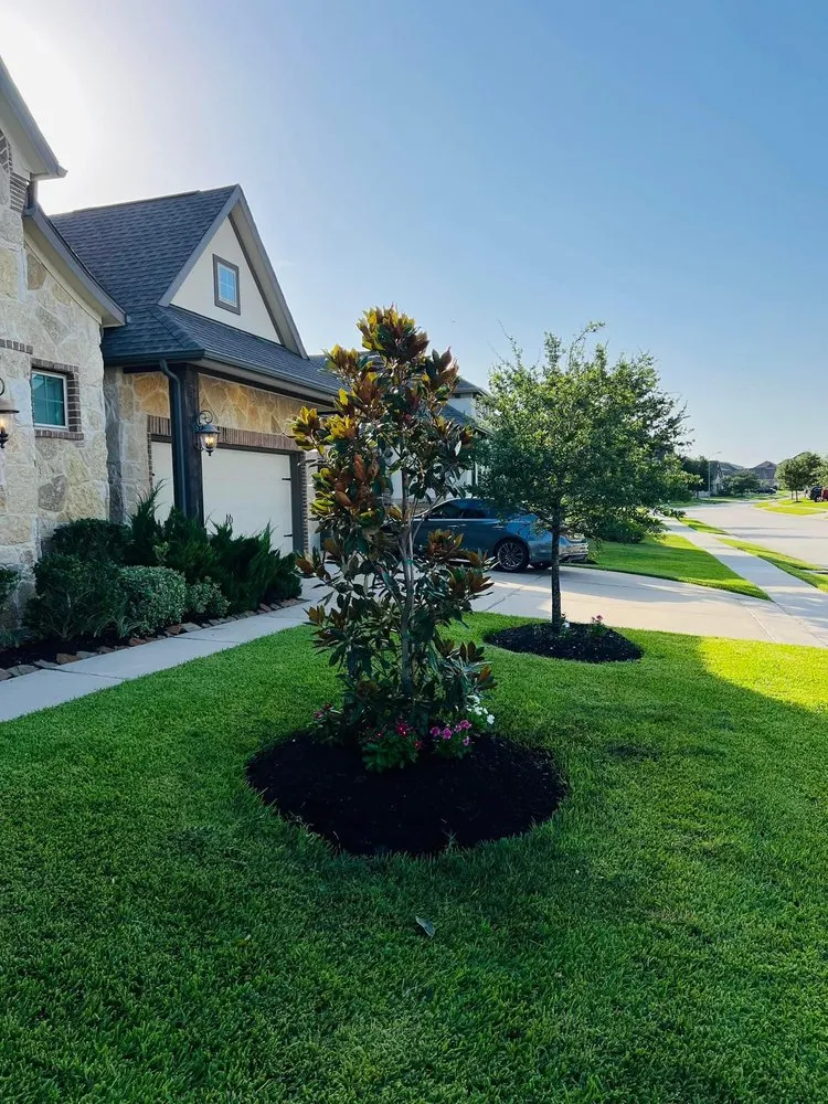 Professional lawn mowing service for homes in Houston, TX by Elite Tree Specialist